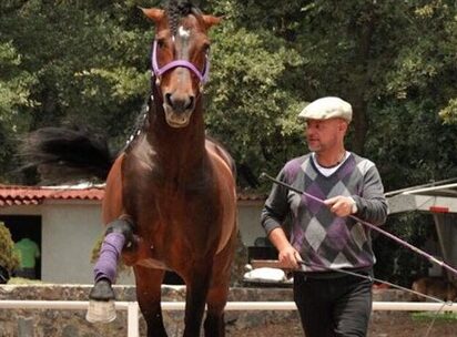 LA DIMENSIÓN ESPIRITUAL DE LOS CABALLOS